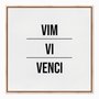 Quadro em Tela Canvas Vim Vi Venci
