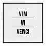 Quadro em Tela Canvas Vim Vi Venci