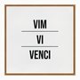 Quadro em Tela Canvas Vim Vi Venci