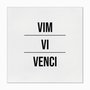 Quadro em Tela Canvas Vim Vi Venci
