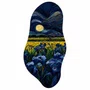 Quadro Orgânico Decorativo Campo de Flores e Lua