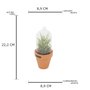 Vaso com Redoma Succulent Plant Redgum - URBAN