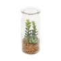 Vaso de Vidro Succulent Plant Jade Green - URBAN
