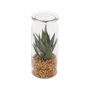 Vaso de Vidro Succulent Plant Snake Green - URBAN