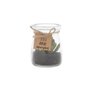 Vaso Mini Succulent Plant Betty Green - URBAN